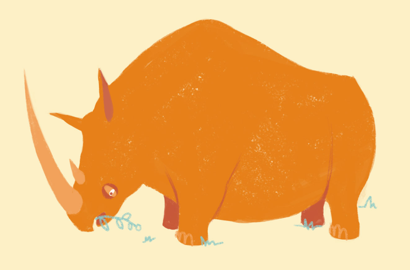 Ilustración rinoceronte